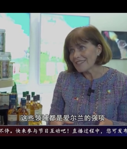 The Irish Ambassador to China, Dr. Ann Derwin, visited the booth of ICAOI at China International Import Expo